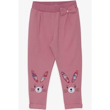 Breeze Kız Bebek Tayt Pantolon Tavşan Nakışlı 9 Ay-3 Yaş, Gülkurusu