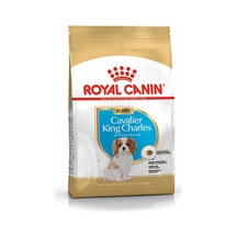 Royal Canin  Cavalier King Charles Junior Yavru Köpek Maması 1,5 Kg