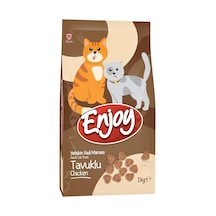 Kuru Kedi Maması, Tavuklu, Yetişkin, Keten Tohumu İle Omega 3 & 6 Katkısı, 1 Kg