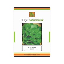 Paşa Tohumculuk Roka Bengi - 500 Gr