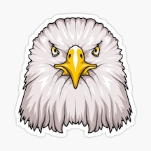 Araba Için Kartal Oto Sticker Yapıştırması Etiket 17Cm Q6