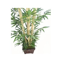 Bambu Ağacı 6 Gövde 140 Cm 1.sınıf Yaprak 750 Yapraklı Model 9