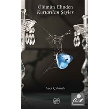 Ölümün Elinden Kurtarılan Şeyler / D. Ayça Çakmak