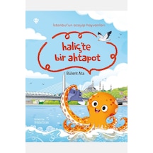 İstanbulun Acayip Hayvanları Haliçte Bir Ahtapot