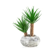 Dünya Desenli Mermer Görünümlü Saksıda Iki Dal Yapay Kaktüs Aloe