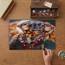 Yakın Çekim Kırmızı Yengeç Tasarımı 240 Parça Ahşap Puzzle Ahşap Kutuda Mpy40039
