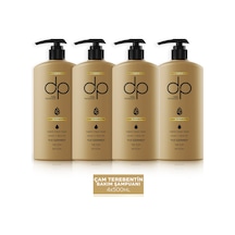 Dp Daily Perfection Şampuan Çam Terebentin 4 x 500 ML
