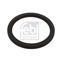 Krank Keçesi - Fiat Ulysse, Ducato, Scudo - Febı-bılsteın-11808
