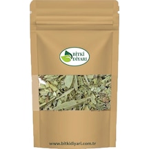 Söğüt Yaprak Salix Alba Ak Söğüt 50gr