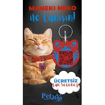 Kırmızı