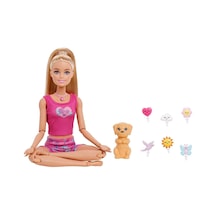Jjn55 Barbie Mindful Moves - Meditasyoncu Bebek