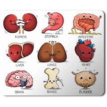 Organlar Vücut Organları Kalp Beyin Kemik Böbrek Baskılı Mousepad Mouse Pad