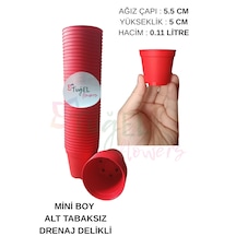 100 Adet