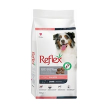 Somonlu Ve Kuzu Etli Orta Ve Büyük Irk Yetişkin Köpek Maması 10 Kg