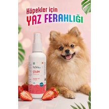 Reflex Care Çilek Kokulu Köpek Kolonyası 125 Ml