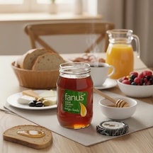 Fanus Çam Balı 460 G