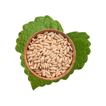 Antik Kuruyemiş Çam Fıstık Dolmalık 500 G