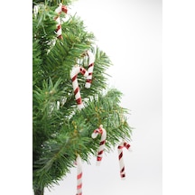 Waldern 6lı Şeker Kamışı Yılbaşı Süs 17cm Xl