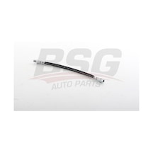 Bsg Fren Hortumu On - R19 88-03