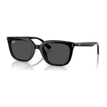 Ray-Ban Rb 4439d 901/87 Güneş Gözlüğü Siyah