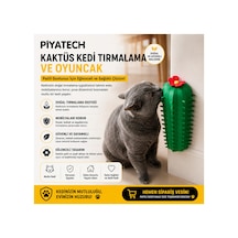 Kaktüs Tasarımlı Duvar Köşe Kedi Kaşınma Ve Masaj Fırçası Tırmalama Aparatı