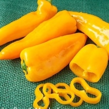 Nadir Ata Tohum Geleneksel Acı Yellow Jalapeno Biber Tohumu 10 Tohum