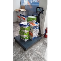 Dogal Salep Fidanı 5 Kg Serapies