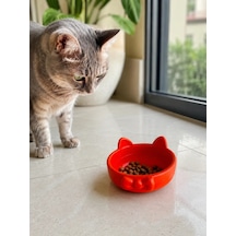 Papyon Model Beton Kedi Köpek Mama Ve Su Kabı 16 Cm Çap - Turuncu