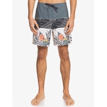 Quiksilver Everyday Division 17 Erkek Deniz Şortu - 28 Çok Renkli