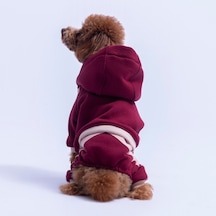 Bordo Denver Track Tulum Köpek Tulumu Köpek Kıyafeti Köpek Eşofmanı Kedi Kıyafeti