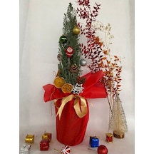 Elwoodi Yılbaşı Ağacı-yılbaşı Çamı 30-50cm Hediye Paketli Kozalak Ve Portakallar Dahil