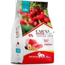 Carni Life Cranberry Ancestral Grain Beef & Plum Mid-Max Yetişkin Köpek Maması 2500 G