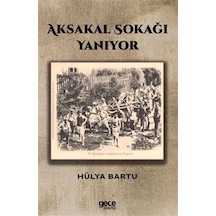 Aksakal Sokağı Yanıyor / Hülya Bartu