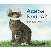 Acaba Neden? (Karton Kapak) / Feridun Oral