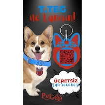 Petjoo 15.T.Teg Kırmızı-Mavi Qr'lı Köpek Künyesi