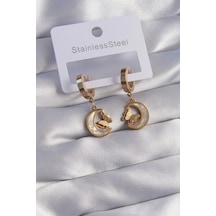 316l Çelik Gold Renk Mineli Ay Figürlü Kelebek Küpe - Tj-bkp9067 Çok Renkli