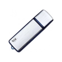 Sese Duyarlı Usb Şeklinde Ses Kayıt Cihazı 8 Gb Lisinya