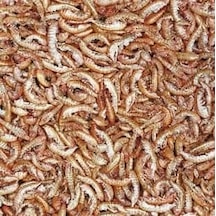 Tropical Gammarus - Karides 50 Gr