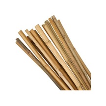 Bambu Bitki Destek Sopası 120 Cm 10 Adet