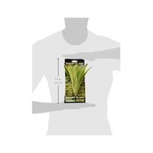 Exo Terra Teraryum İçin Plastik Bitki 50 x 22