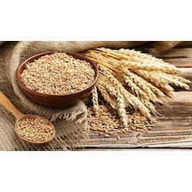 Yemlik Elenmiş Buğday - Tavuk Ve Güvercin Yemi 10 Kg