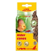Sera Alder Cones (50 Adet) Kızılağaç Kozalağı