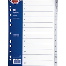 Noki Seperatör 1-12 Rakamlı Plastik A4 59212 Çok Renkli
