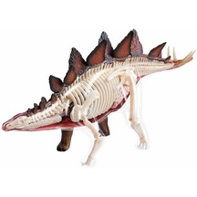 4d Dinozor Anatomi Modeli 39prç.stegosaurus