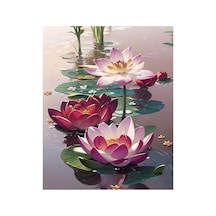 Baskılı Sayılarla Boyama Hobi Seti Çerçeveli 40x50 Cm: Nülifer - 791491731