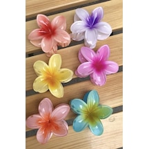 6 Adet Lotus Toka Renkli Kırılmaz Çok Renkli