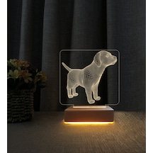 Köpekçik 3d Led Masa Lambası Doğum Günü Hediyesi Lamba