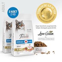 Somonlu Yetişkin Kedi Maması 2 Kg 2 Adet
