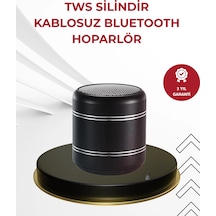 Znv Zenvia Mey İthalat Kompakt Silindir Metal Bluetooth Hoparlör 400 Mah Uzun Pil Tws Destekli Znv2025 Cmn