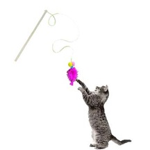 Everypet Ekonomik Kısa Saplı Kedi Oyun Oltası